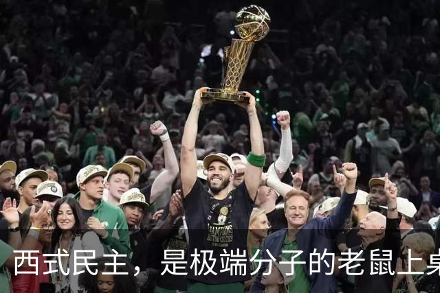 西式民主，是极端分子的老鼠上桌